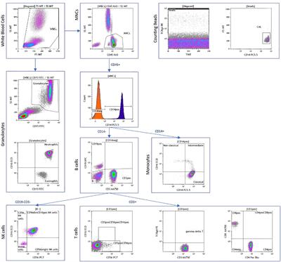Circulating immunophenotypes are potentially prognostic in follicular cell-derived thyroid cancer
